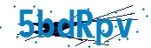 recaptcha