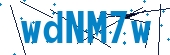 recaptcha